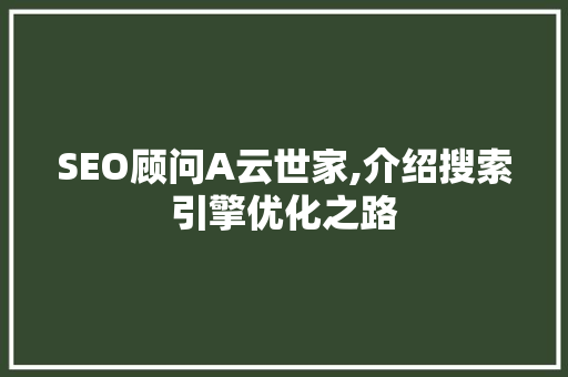 SEO顾问A云世家,介绍搜索引擎优化之路