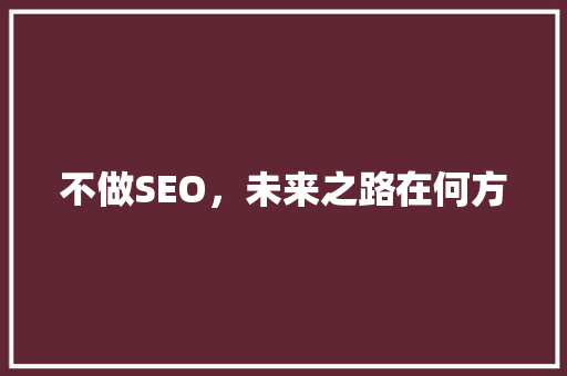 不做SEO，未来之路在何方