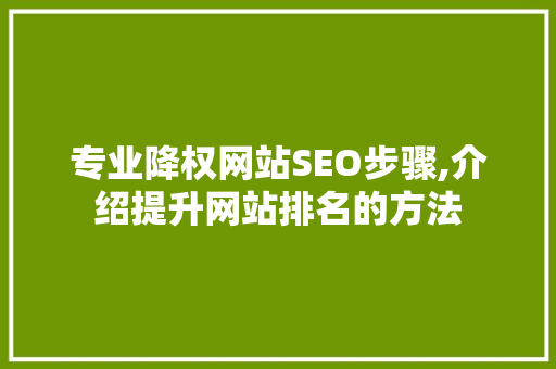 专业降权网站SEO步骤,介绍提升网站排名的方法 专业降权网站SEO步骤,介绍提升网站排名的方法