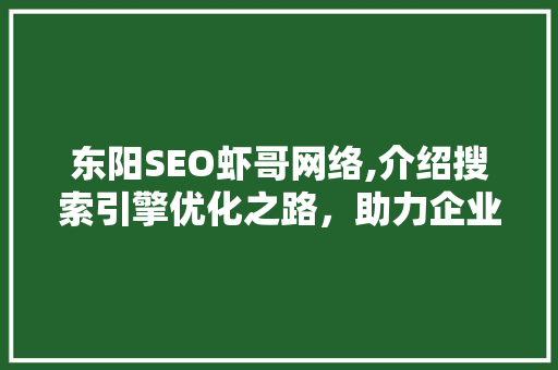 东阳SEO虾哥网络,介绍搜索引擎优化之路，助力企业腾飞