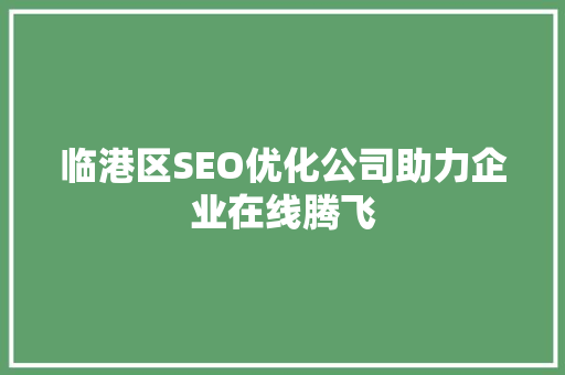 临港区SEO优化公司助力企业在线腾飞