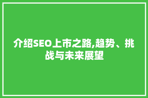 介绍SEO上市之路,趋势、挑战与未来展望 电脑基础