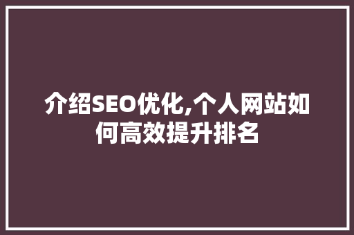 介绍SEO优化,个人网站如何高效提升排名 网络技术