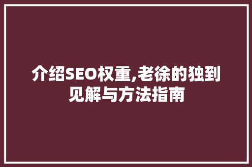 介绍SEO权重,老徐的独到见解与方法指南