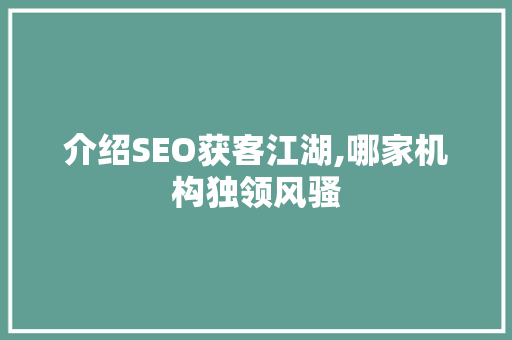 介绍SEO获客江湖,哪家机构独领风骚