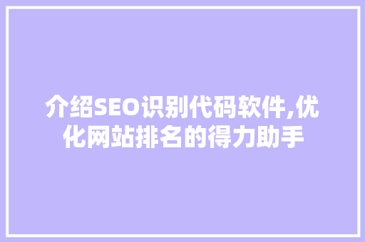 介绍SEO识别代码软件,优化网站排名的得力助手