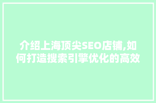介绍上海顶尖SEO店铺,如何打造搜索引擎优化的高效之路