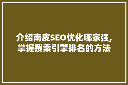 介绍南皮SEO优化哪家强,掌握搜索引擎排名的方法