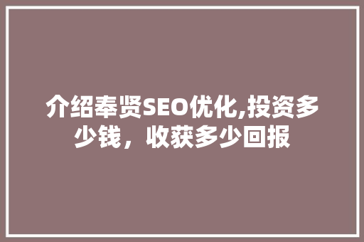 介绍奉贤SEO优化,投资多少钱，收获多少回报
