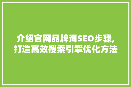 介绍官网品牌词SEO步骤,打造高效搜索引擎优化方法
