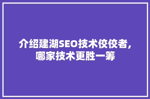 介绍建湖SEO技术佼佼者,哪家技术更胜一筹