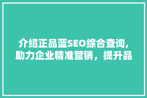 介绍正品蓝SEO综合查询,助力企业精准营销，提升品牌影响力