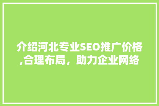 介绍河北专业SEO推广价格,合理布局，助力企业网络营销