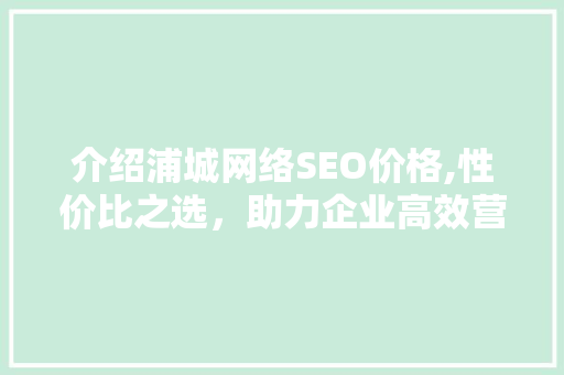 介绍浦城网络SEO价格,性价比之选，助力企业高效营销