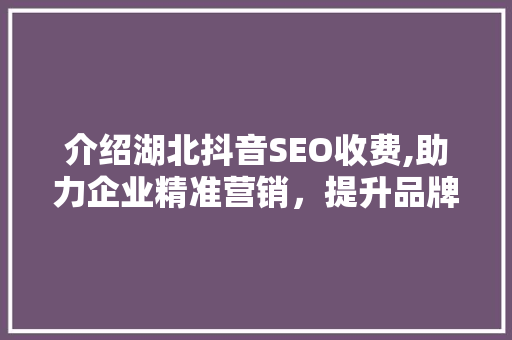 介绍湖北抖音SEO收费,助力企业精准营销，提升品牌影响力