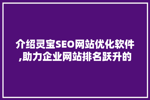 介绍灵宝SEO网站优化软件,助力企业网站排名跃升的神秘力量