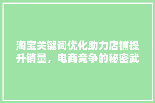 淘宝关键词优化助力店铺提升销量，电商竞争的秘密武器