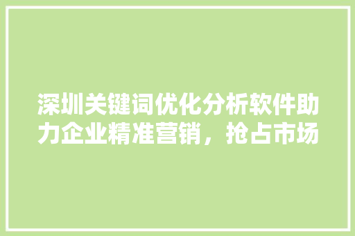 深圳关键词优化分析软件助力企业精准营销，抢占市场先机