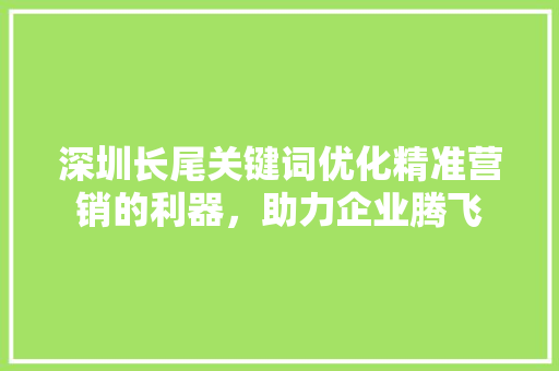 深圳长尾关键词优化精准营销的利器，助力企业腾飞