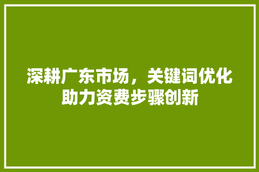 深耕广东市场，关键词优化助力资费步骤创新