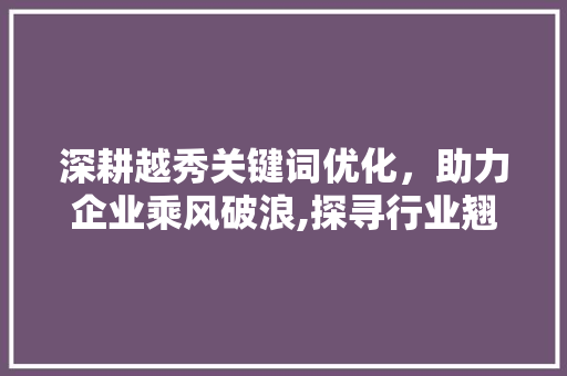 深耕越秀关键词优化，助力企业乘风破浪,探寻行业翘楚