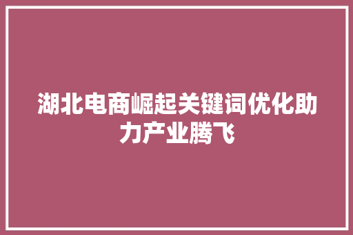 湖北电商崛起关键词优化助力产业腾飞