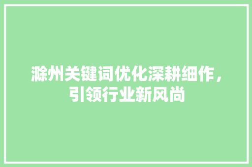 滁州关键词优化深耕细作，引领行业新风尚