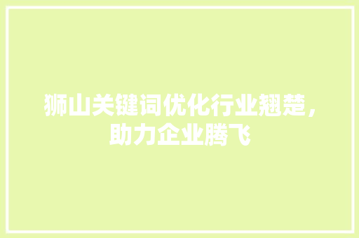 狮山关键词优化行业翘楚,助力企业腾飞 狮山关键词优化行业翘楚,助力企业腾飞