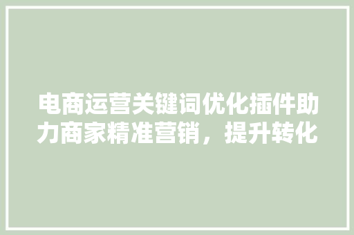 电商运营关键词优化插件助力商家精准营销，提升转化率 电脑故障维修