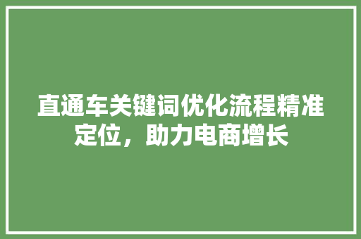 直通车关键词优化流程精准定位,助力电商增长 直通车关键词优化流程精准定位,助力电商增长