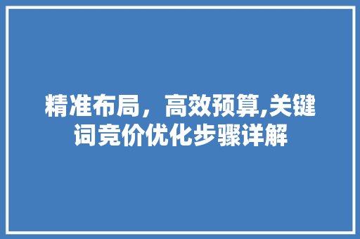 精准布局,高效预算,关键词竞价优化步骤详解 精准布局,高效预算,关键词竞价优化步骤详解