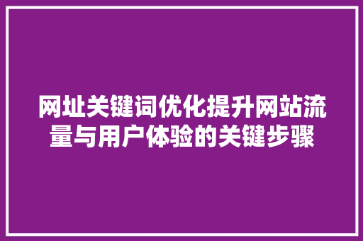 网址关键词优化提升网站流量与用户体验的关键步骤