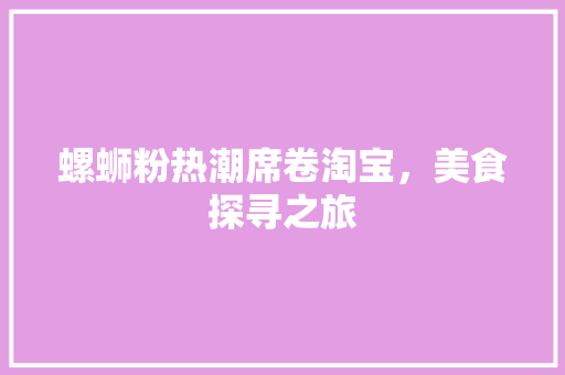 螺蛳粉热潮席卷淘宝，美食探寻之旅