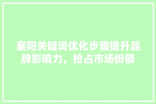 襄阳关键词优化步骤提升品牌影响力，抢占市场份额