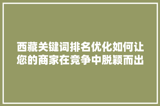 西藏关键词排名优化如何让您的商家在竞争中脱颖而出