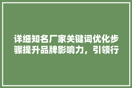 详细知名厂家关键词优化步骤提升品牌影响力,引领行业新风向 详细知名厂家关键词优化步骤提升品牌影响力,引领行业新风向