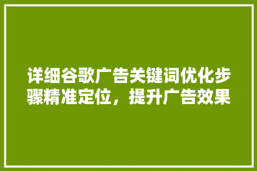 详细谷歌广告关键词优化步骤精准定位,提升广告效果 详细谷歌广告关键词优化步骤精准定位,提升广告效果