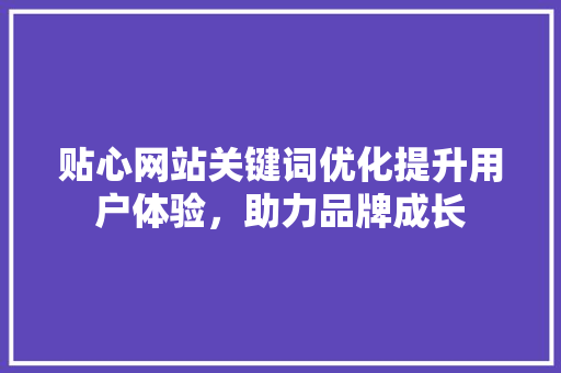 贴心网站关键词优化提升用户体验，助力品牌成长
