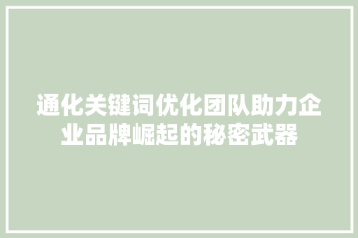 通化关键词优化团队助力企业品牌崛起的秘密武器