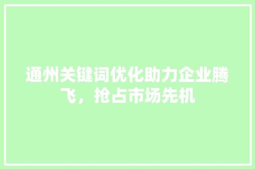 通州关键词优化助力企业腾飞，抢占市场先机