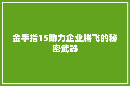 金手指15助力企业腾飞的秘密武器