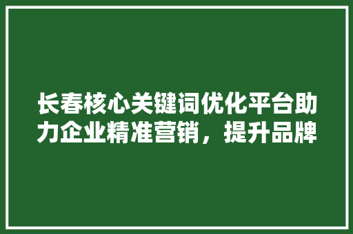 长春核心关键词优化平台助力企业精准营销，提升品牌影响力