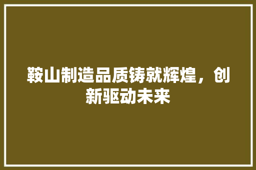 鞍山制造品质铸就辉煌，创新驱动未来