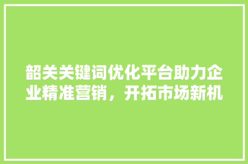 韶关关键词优化平台助力企业精准营销，开拓市场新机遇
