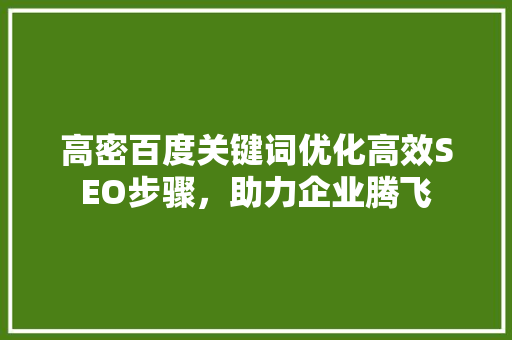 高密百度关键词优化高效SEO步骤，助力企业腾飞