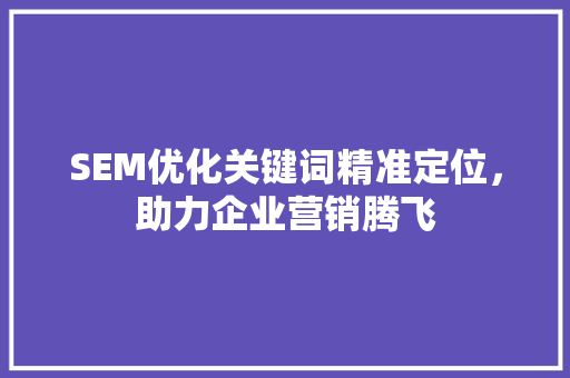 SEM优化关键词精准定位，助力企业营销腾飞