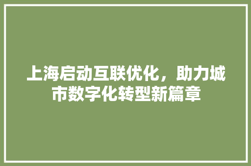 上海启动互联优化,助力城市数字化转型新篇章 上海启动互联优化,助力城市数字化转型新篇章