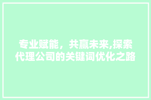 专业赋能，共赢未来,探索代理公司的关键词优化之路