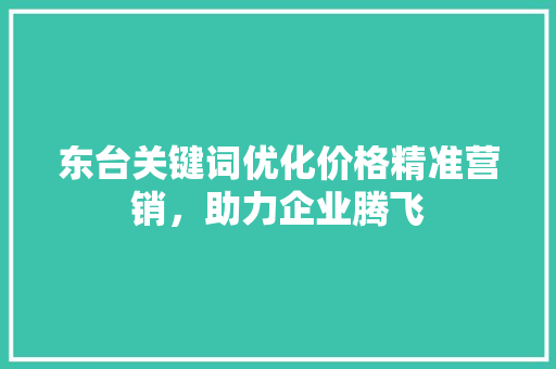 东台关键词优化价格精准营销，助力企业腾飞 电脑基础