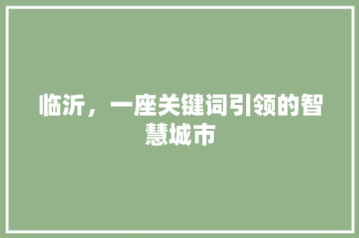 临沂，一座关键词引领的智慧城市